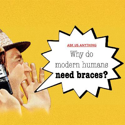 How come only modern humans need braces? How come only modern humans need braces?