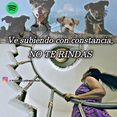 13.- VE SUBIENDO CON CONSTANCIA, NO TE RINDAS! By Manuel Yañez Bernal.