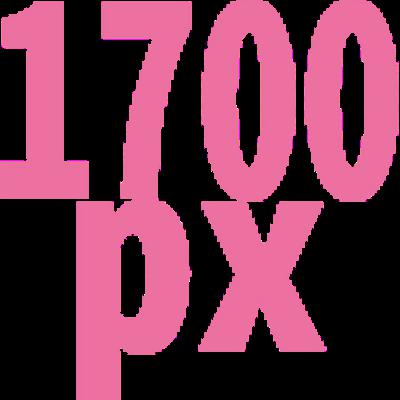 1700 x 1700