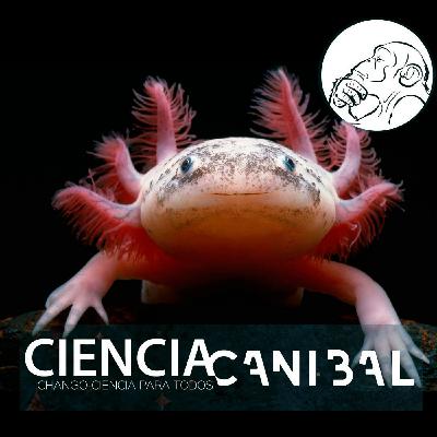 2-8 El Ajolote Mexicano y la Astrobiología con la Maestra en Ciencias Cecilia Sánchez