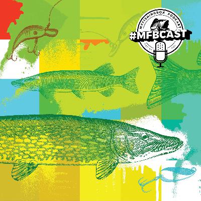 #12 EINZELHAKEN vs. DRILLING beim Angeln mit Kunstköder auf Zander, Hecht und Barsch  // MFBCAST PODCAST ANGELN