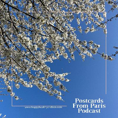 Spring into Presence: Mindful Walk in Tuileries Garden Spring into Presence: Mindful Walk in Tuileries Garden