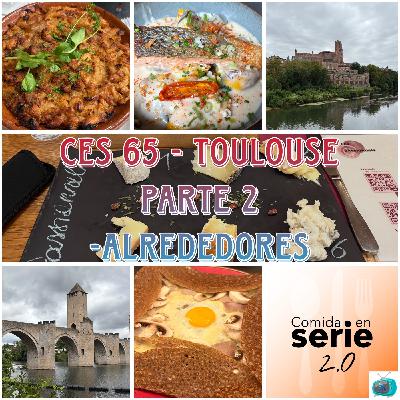 CeS 65 - Toulouse Parte 2 (Alrededores)