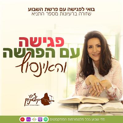 פרשת בראשית - שגרה של אור