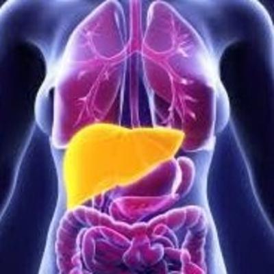 Tu Hígado Un depurador Natural