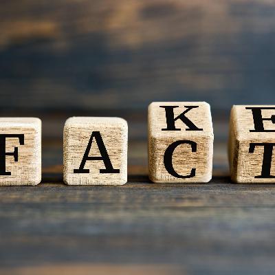 Kommentar zu Desinformation - Demokratie ohne Fakten funktioniert nicht