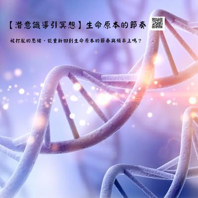 【潛意識導引冥想】生命原本的節奏