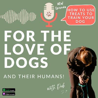 How to Use Treats to Train Your Dog (without becoming a food dispenser!)