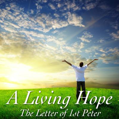 The Apostle’s Guide to Contentment - 1st Peter 5