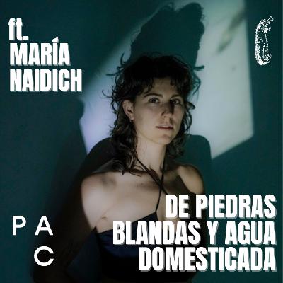 T4 E120|DE PIEDRAS BLANDAS Y AGUA DOMESTICADA-Platicando con María Naidich