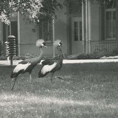 Folge 8: Laura B. und das Kartenhaus