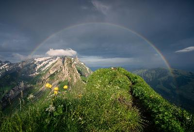 Lesson 63 - 1 John 2:25 And this is the promise that He Himself made to us: eternal life.