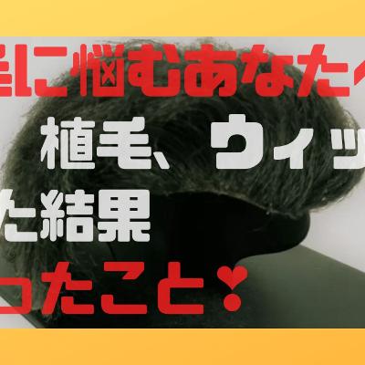 【体験談】薄毛で悩むあなたに、５つにわけて解説、育毛・植毛・かつらを試した結果わ
