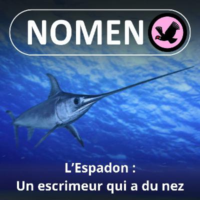 S04E43 L’Espadon, le gladiateur des mers