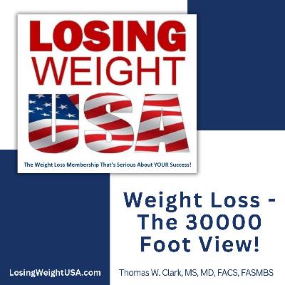 Weight Loss - The 30000 Foot View!