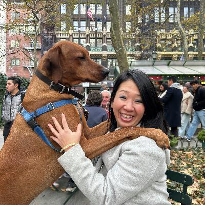 Koa, the therapy dog working in Manhattan schools and hospitals Koa, the therapy dog working in Manhattan schools and hospitals