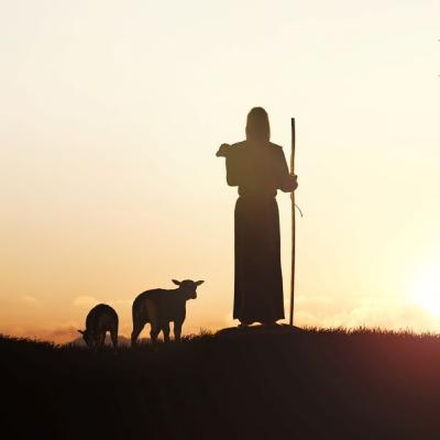 #81 The Sheep Of The Good Shepherd Hear His Voice, And They Know Him
