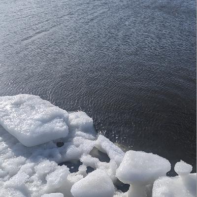 In the ice at Gansevoort Beach, Hudson River, Manhattan, NY, USA on Imbolg, 2026 (1st February) – by Kalli Anderson and Will Coley