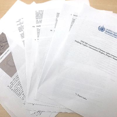 #241 国連「ウイグル報告書」の中身を詳細解説します【後編】