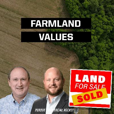 2025 Farmland Values & Market Trends