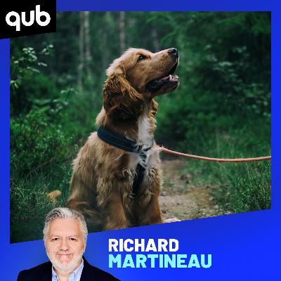 «Des dizaines de milliers de $$ pour éduquer un chien… pour RIEN»: la fraude de certains éducateurs canins