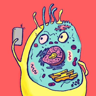 What is a Cell?