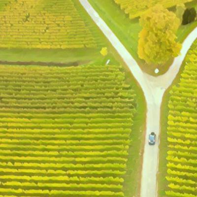 Using Genomic Prediction to Improve Ecophysiological Crop Models