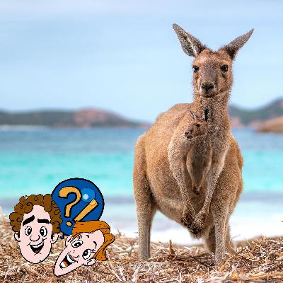 Kacken Känguru-Babys in den Beutel?