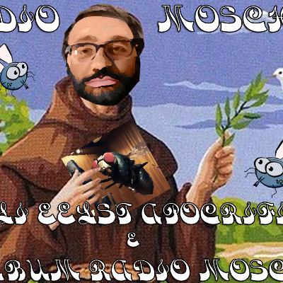 Radio Mosche - Puntata 43: GLi EELST Apocrifi & L'Album di Radio Mosche