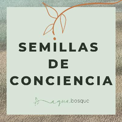 42_Semillas de conciencia, el verano, las vacaciones y la tierra