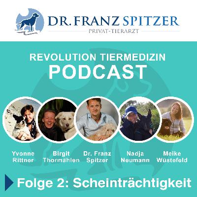 Folge 2: Scheinträchtigkeit