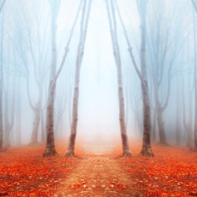Stillness, silence and going within...