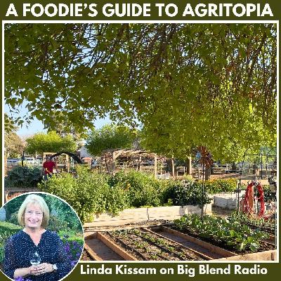 A Foodie's Guide to Agritopia in Gilbert, Arizona
