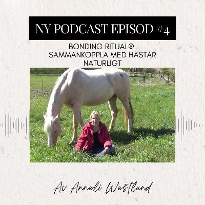 Bonding Ritual® - Uppnå En Djup Förbindelse Med Hästar Naturligt