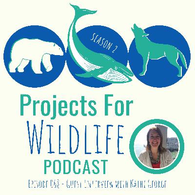 Episode 068 - Kathi George leads whale entanglement solutions and volunteers in California Episode 068 - Kathi George leads whale entanglement solutions and volunteers in California
