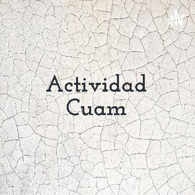 Actividad cuam - Philip Kotler - Chavez