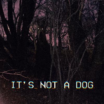 It's Not a Dog