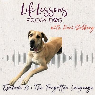 The Forgotten Language : What Play Teaches Us