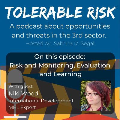 Episode 18: Tolerable Risk E018 - Niki Wood - Risk and Monitoring, Evaluation, and Learning