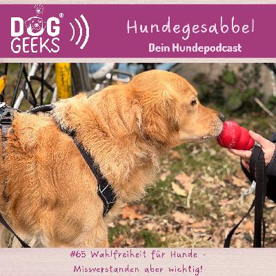 #65 DogGeeks-Hundegesabbel „ Wahlfreiheit für Hunde“