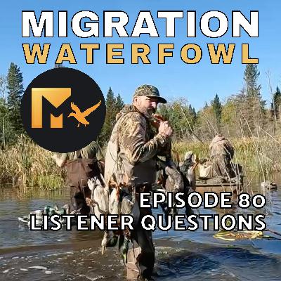 EP. 80: November Ducks And Bucks & Listener Questions with Mike Pomaibo EP. 80: November Ducks And Bucks & Listener Questions with Mike Pomaibo