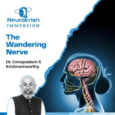 The Wandering Nerve