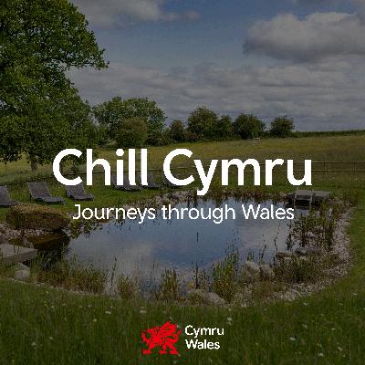 Restful rural retreat meditation - Wern-y-Cwm Farm, mid Wales