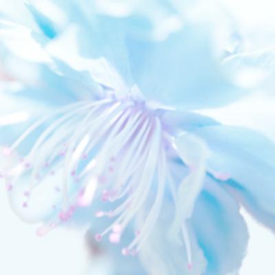 Story 2 Chapter 5* Where the Problems begin P:1 Story 2 Chapter 5* Where the Problems begin P:1