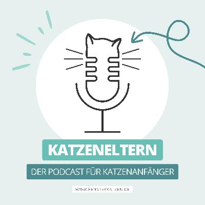 Von der Anfrage zum fertigen Buch