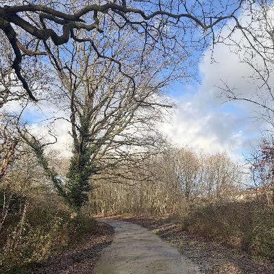Walking along the Pymmes Brook, London, UK on 16th January 2026 – by Siddharth Khajuria Walking along the Pymmes Brook, London, UK on 16th January 2026 – by Siddharth Khajuria