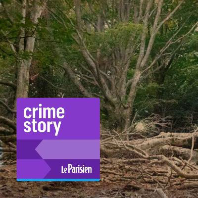 [2/2] L’affaire du Bois Bleu : le banquier assassiné et le poison de la rumeur