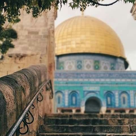 يلتظي صدري ويغلي