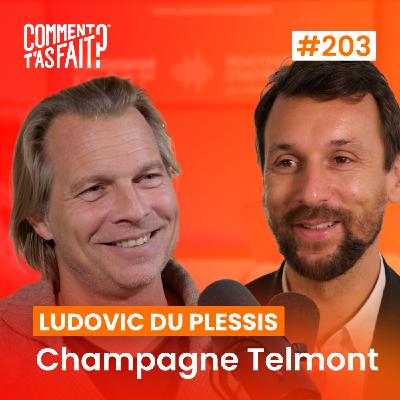 Extrait #203 - Comment Ludovic du Plessis (Champagne Telmont) a fait pour accélérer sa carrière ?