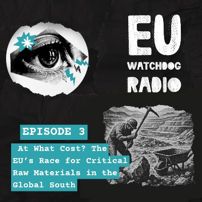 At What Cost? The EU’s Race for Critical Raw Materials in the Global South